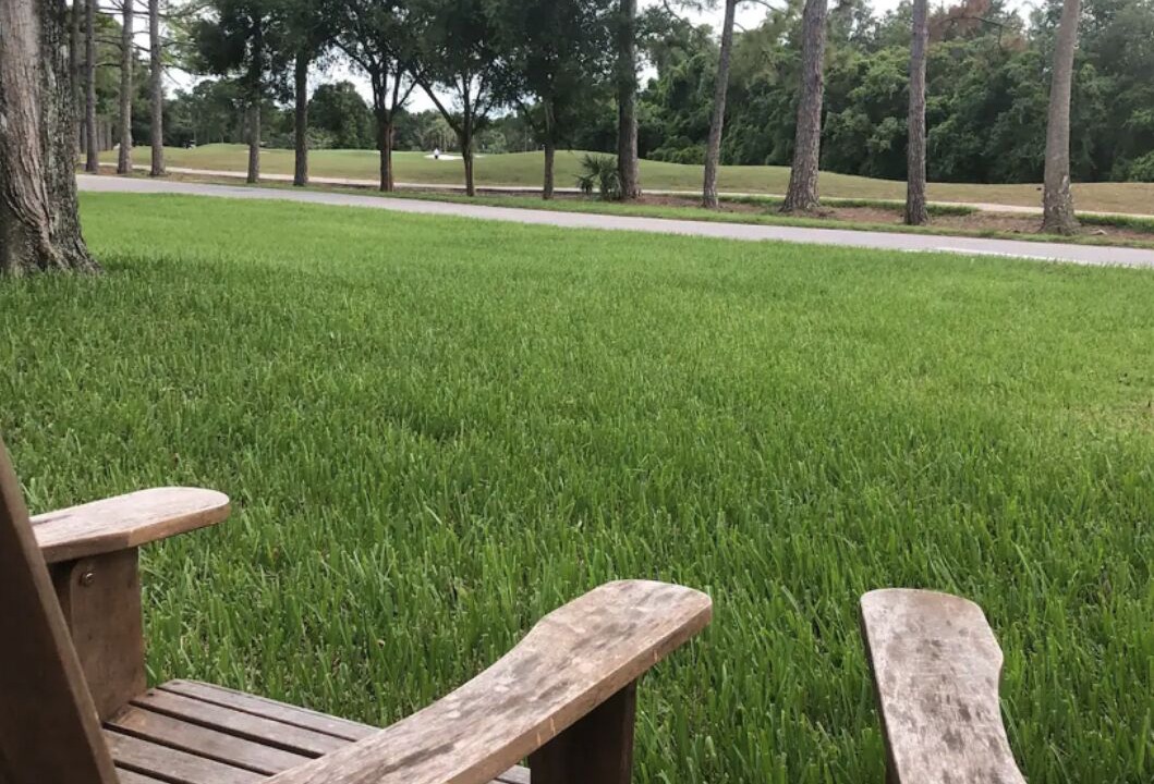Photo of Others in College Park
