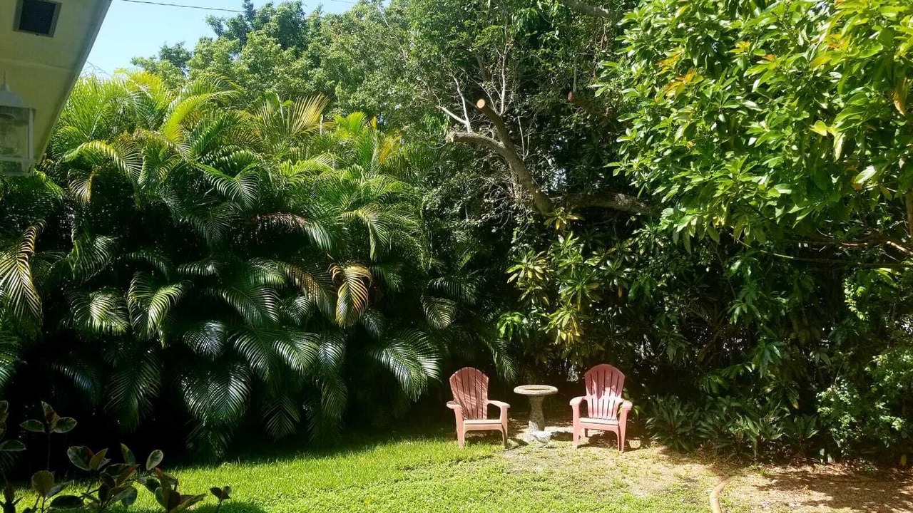 Photo of Outdoor in Ludlam
