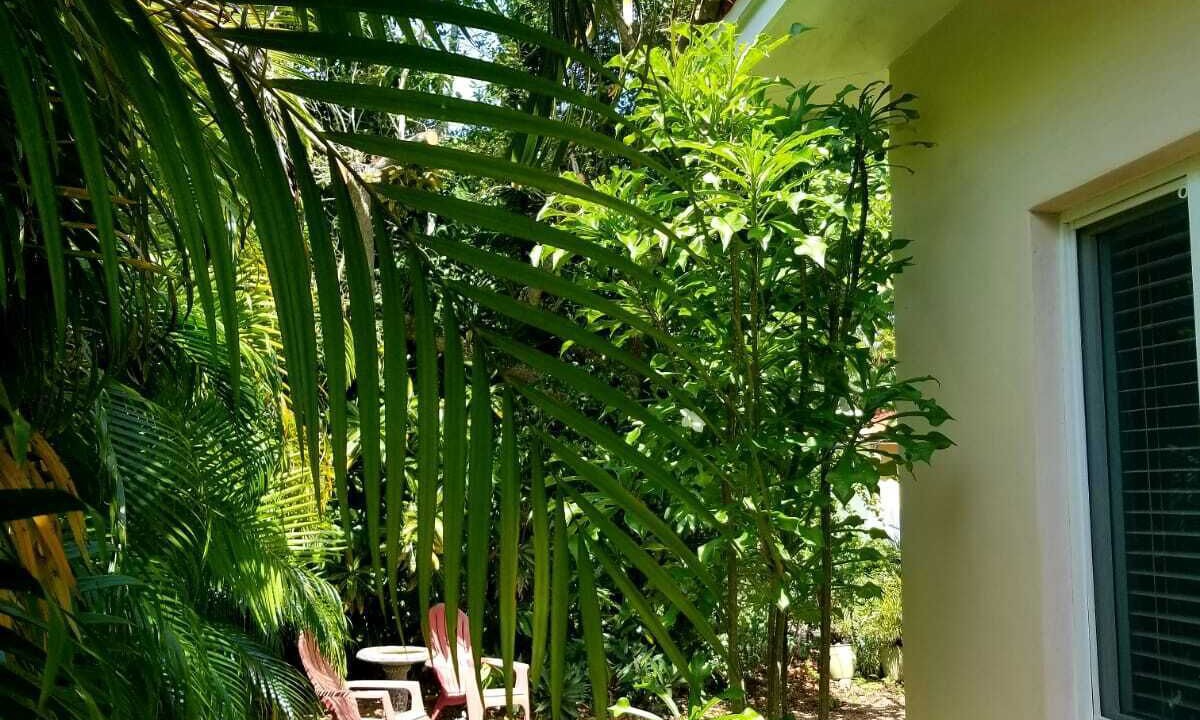 Photo of Patio Balcony in Ludlam