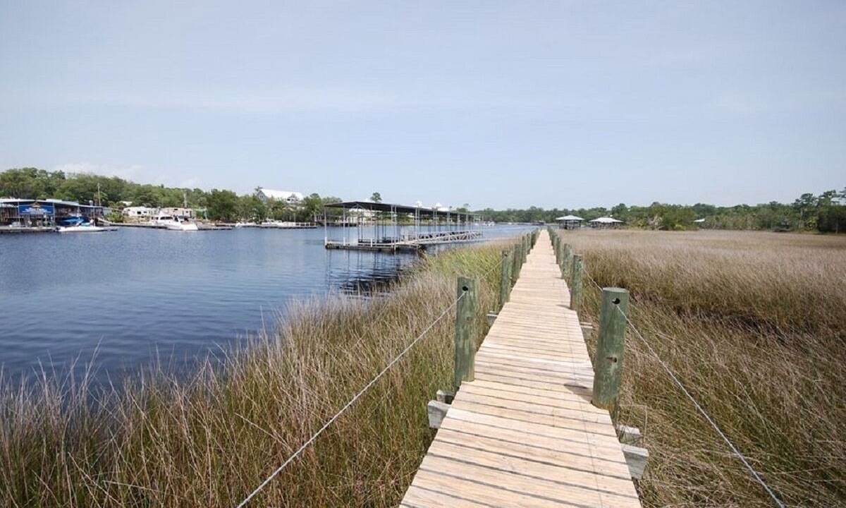 Photo of Outdoor in Steinhatchee