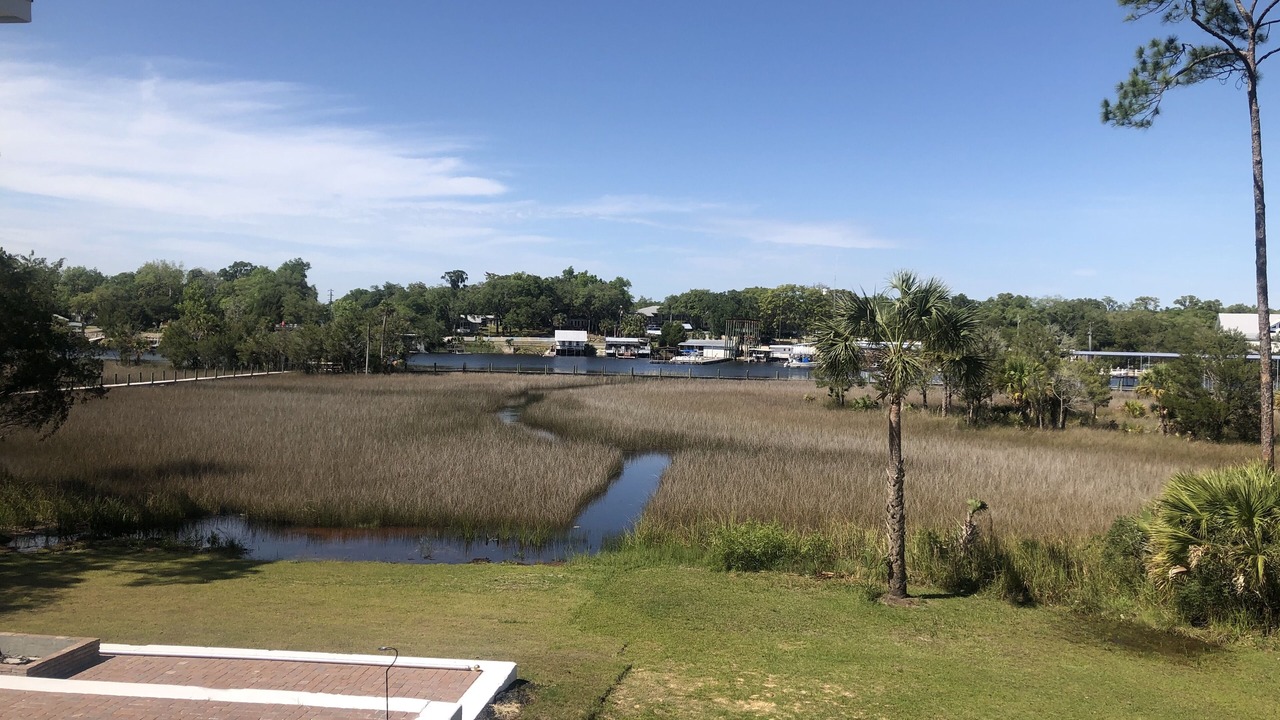 Photo of Outdoor in Steinhatchee
