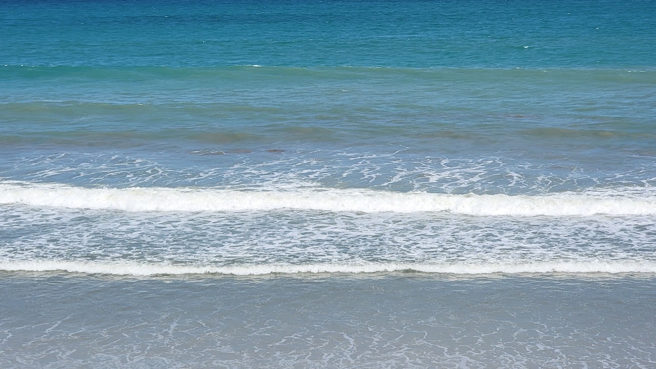 Photo of Others in South Patrick Shores