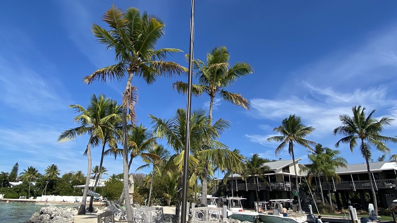 Photo of Others in Key Largo