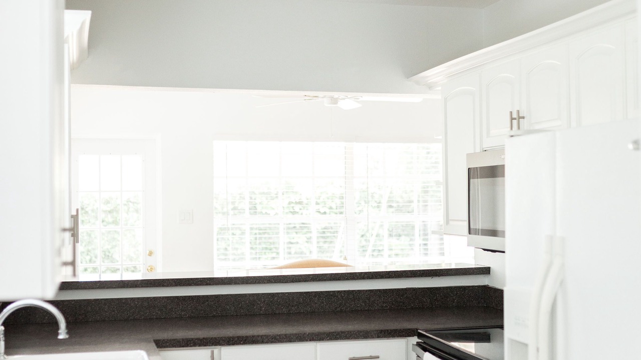 Photo of Kitchen in Davis Islands