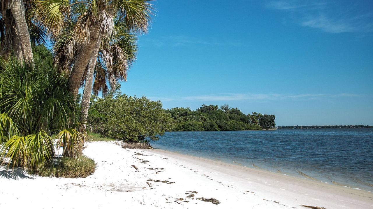 Photo of Others in Safety Harbor