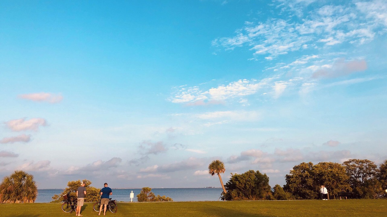Photo of Others in Safety Harbor