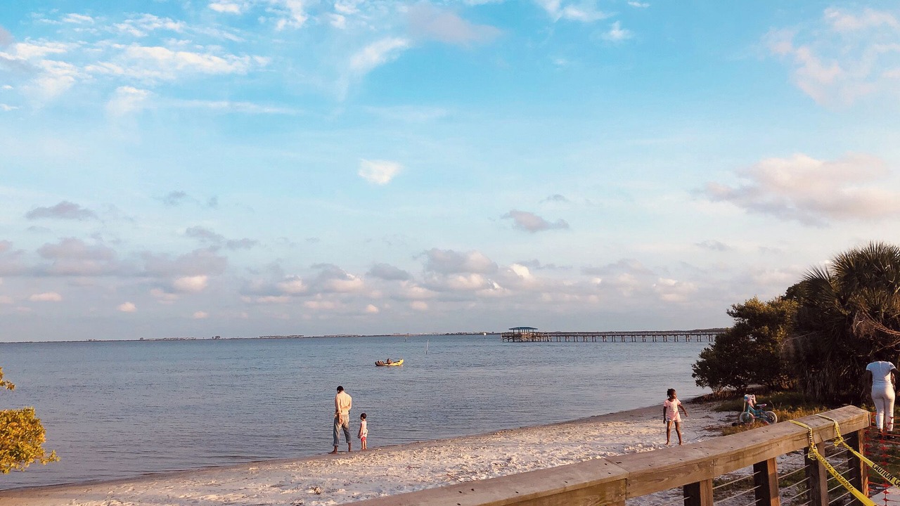 Photo of Others in Safety Harbor