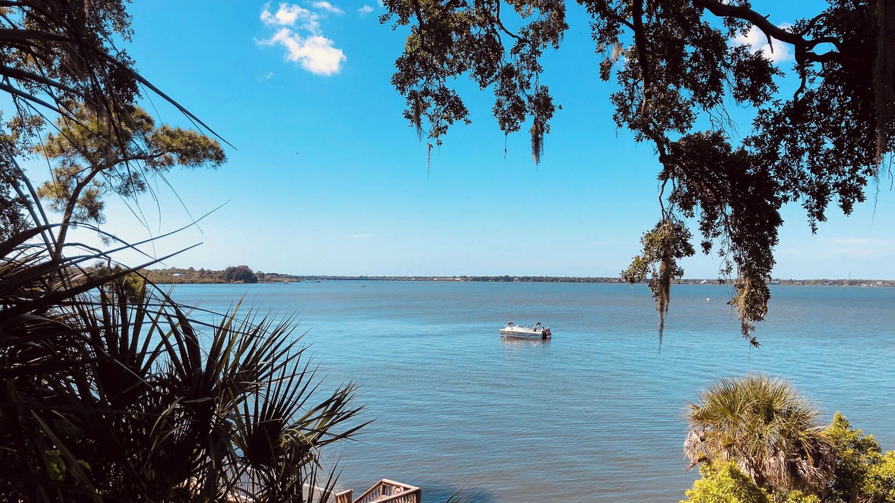 Photo of Others in Safety Harbor
