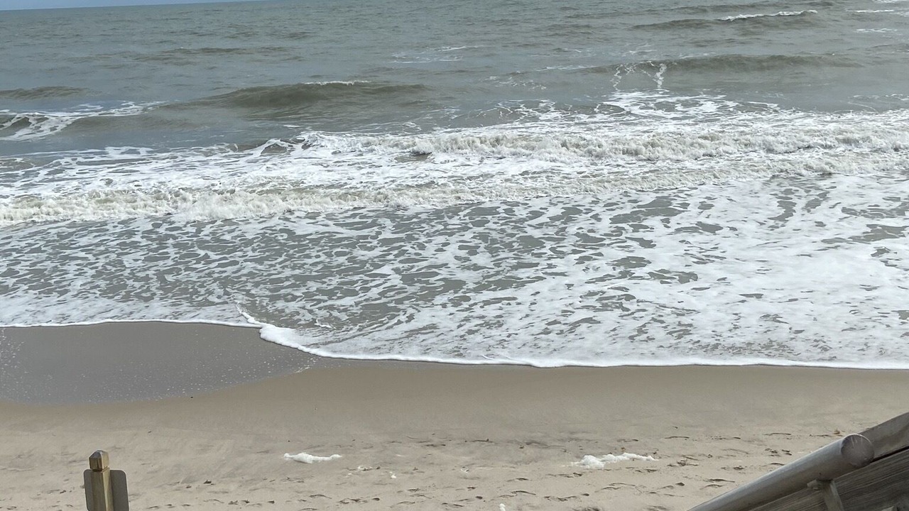 Photo of Others in Wabasso Beach