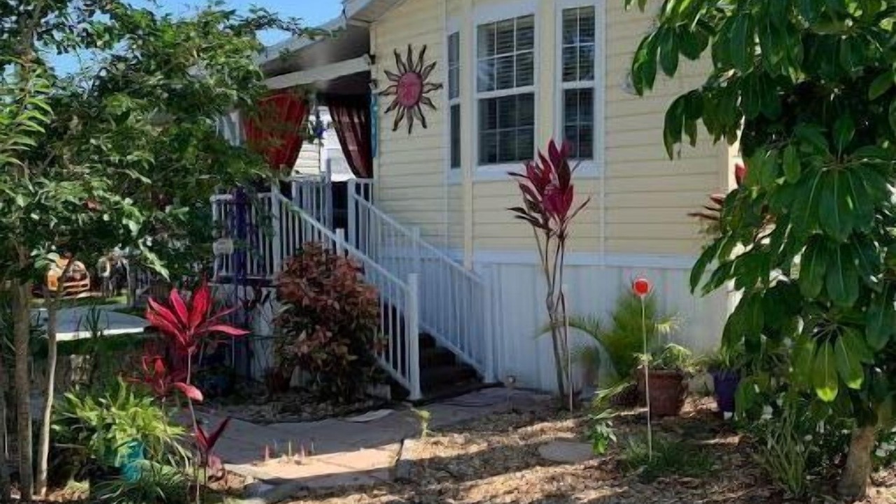 Photo of Outdoor in Dunedin