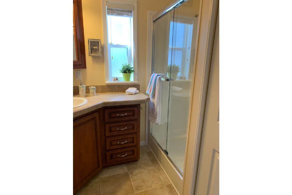 Photo of Bathroom in Dunedin