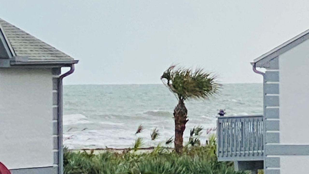 Photo of Others in Port Canaveral