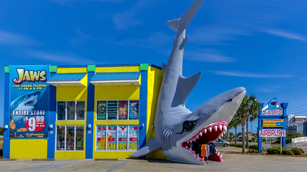 Photo of Others in Fort Bay