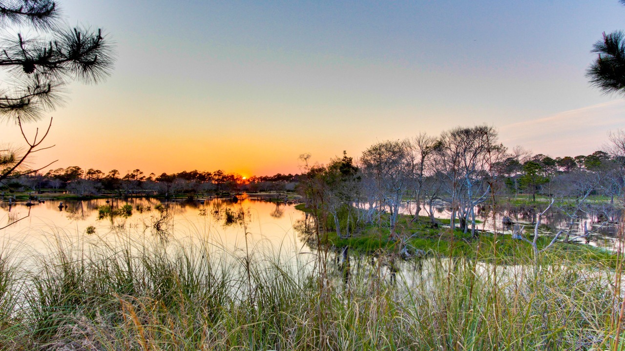 Photo of Outdoor in Fort Bay