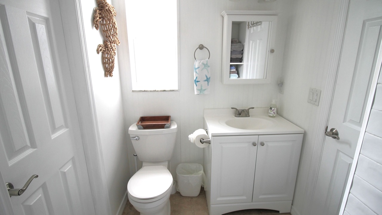 Photo of Bathroom in Dunedin