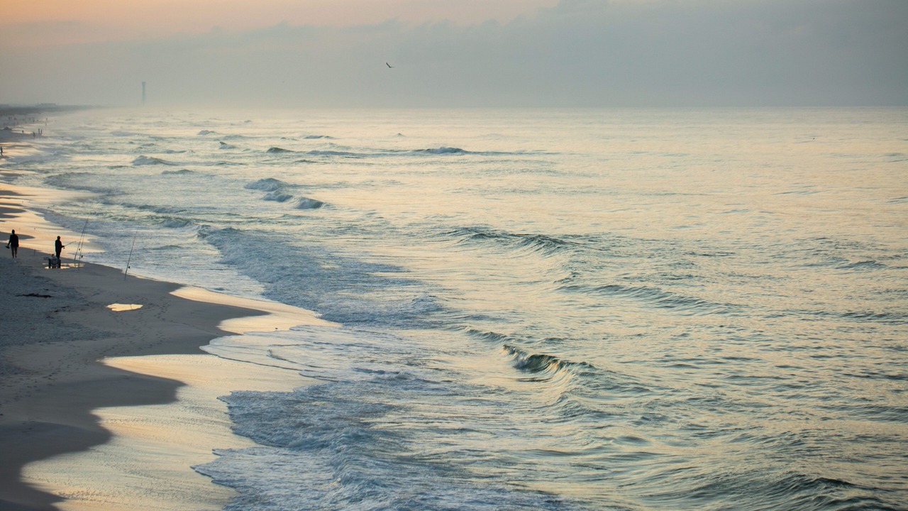 Photo of Others in Navarre