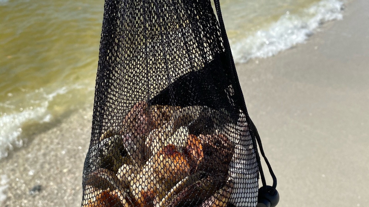 Photo of Others in Vanderbilt Beach