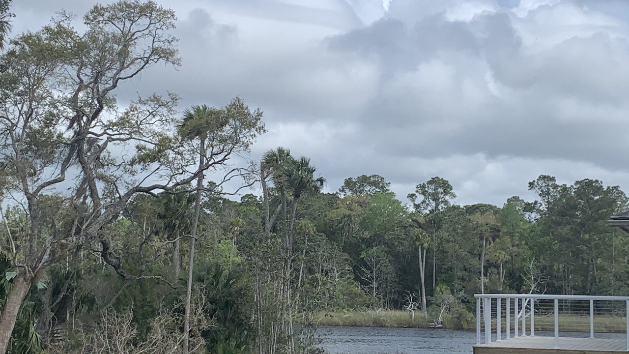 Photo of Outdoor in Steinhatchee