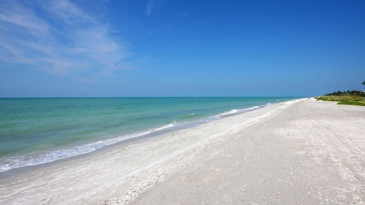 Photo of Others in Sanibel