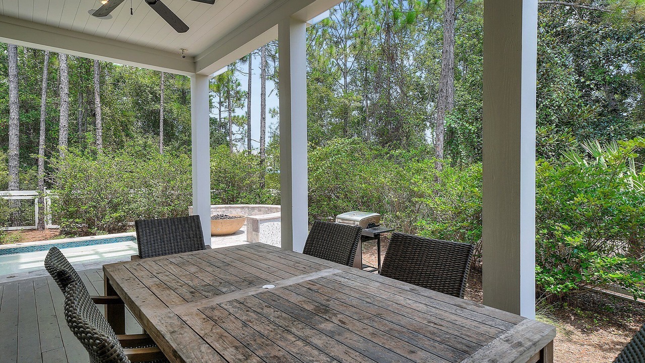 Photo of Outdoor in Forest District