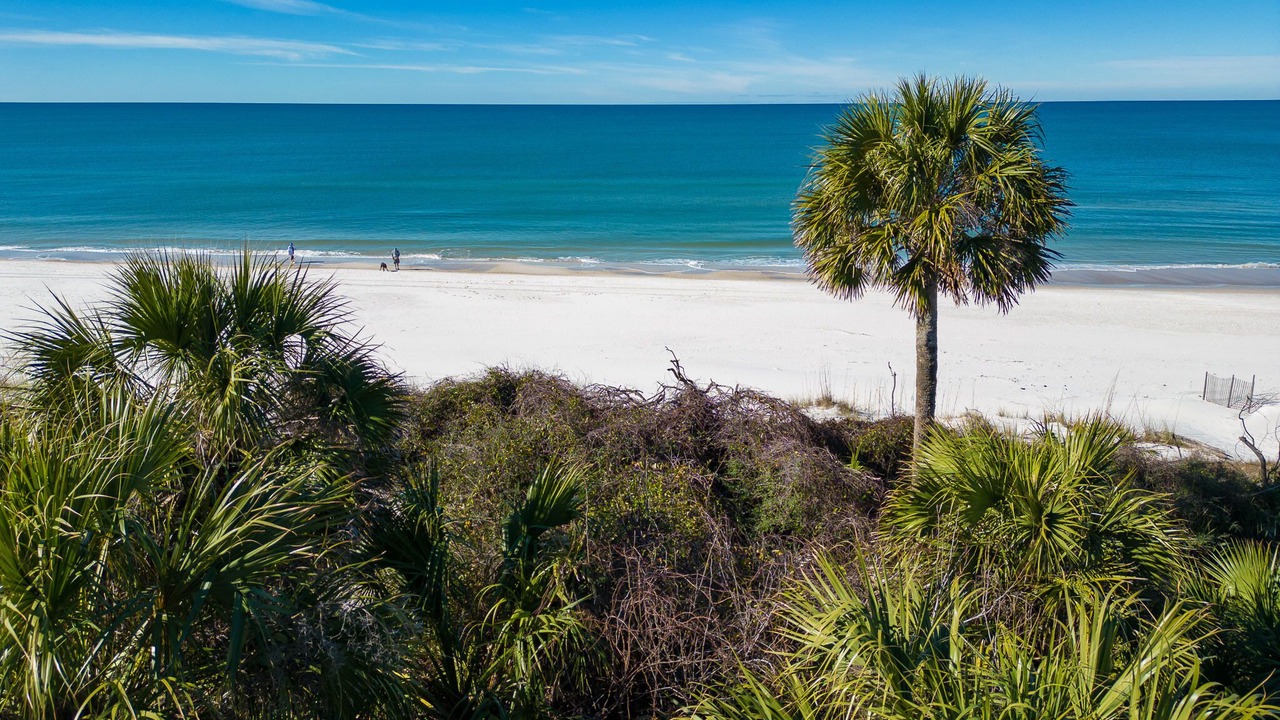 Photo of Others in Port St. Joe