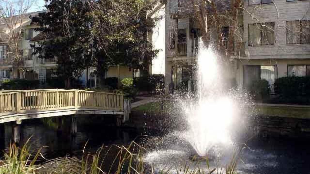 Photo of Outdoor in Hilton Head Island