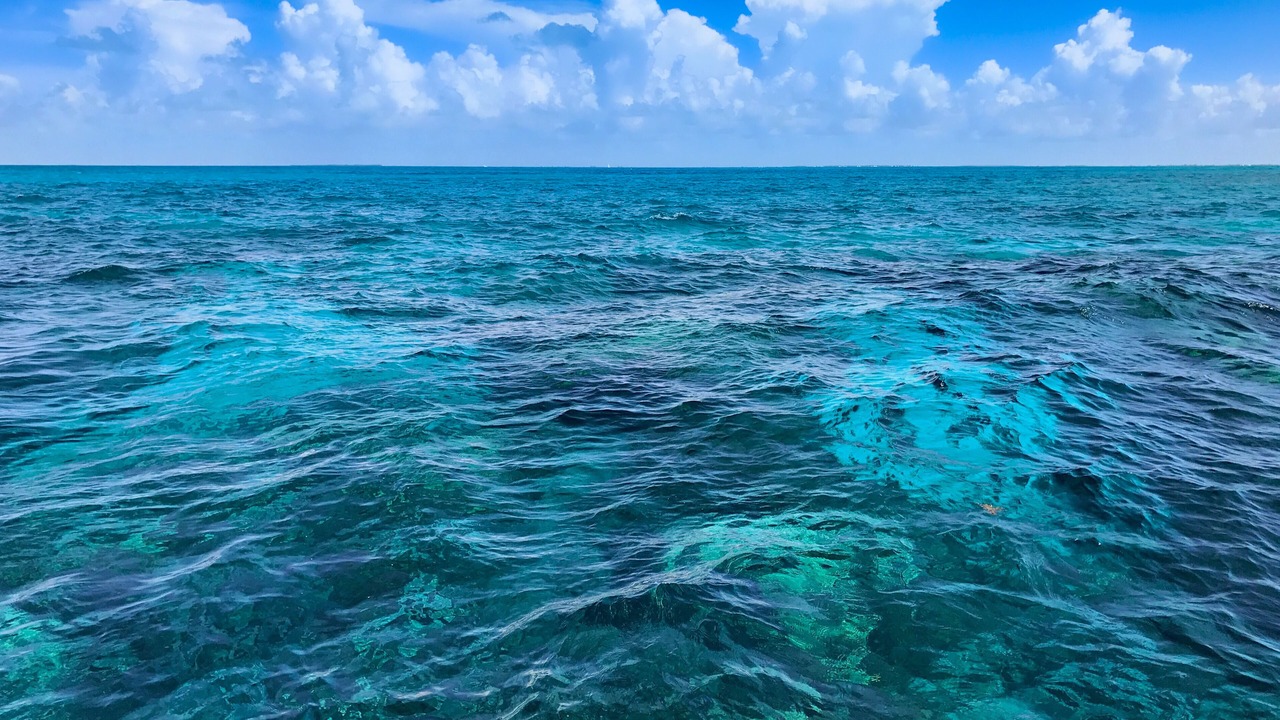 Photo of Outdoor in Key West