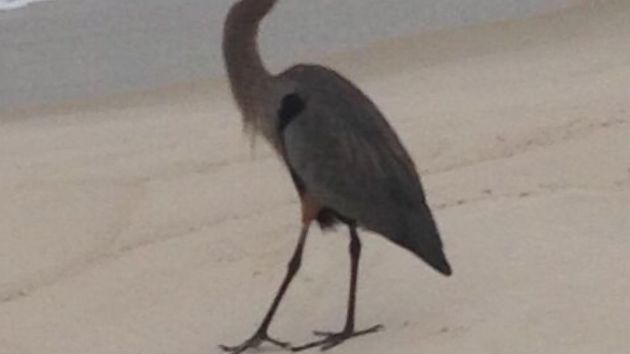 Photo of Others in Fort Morgan