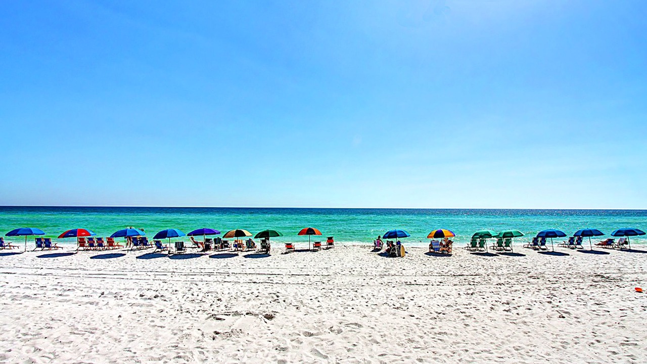 Photo of Others in Holiday Isle