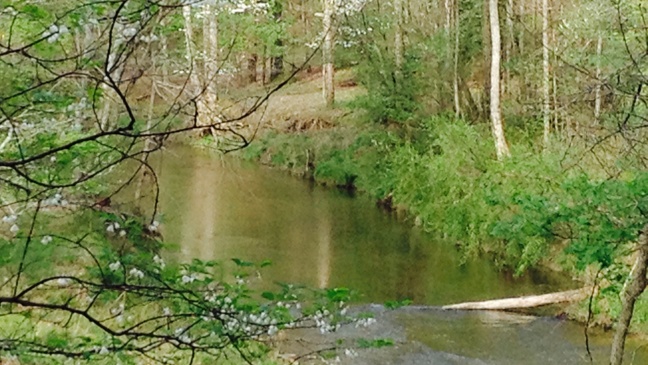 Photo of Others in Ellijay