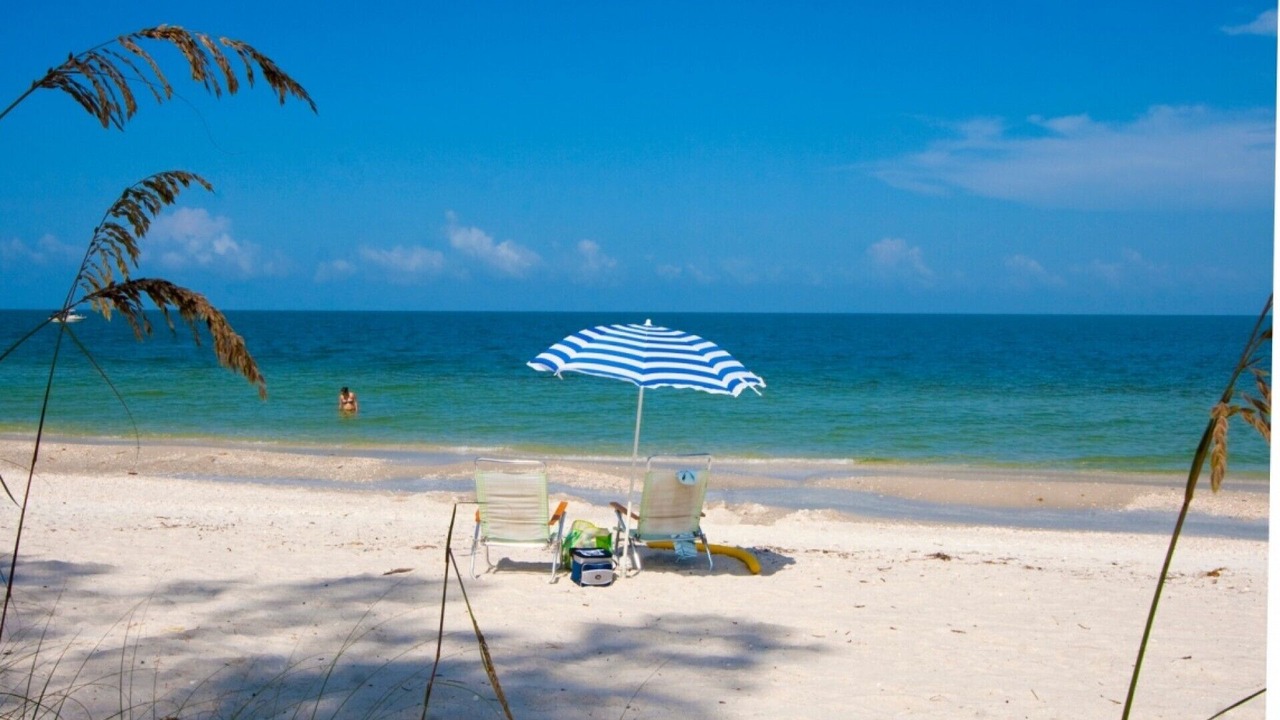 Photo of Others in Coquina Sands
