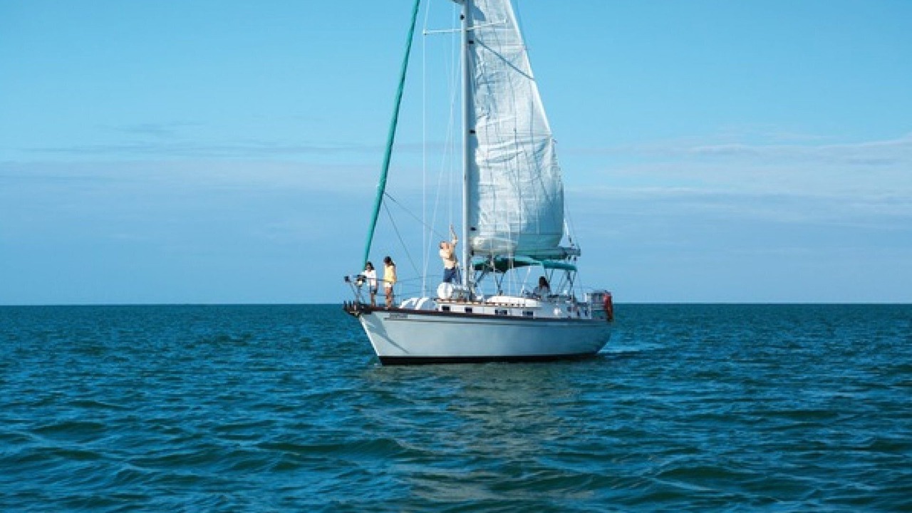Photo of Others in Coquina Sands