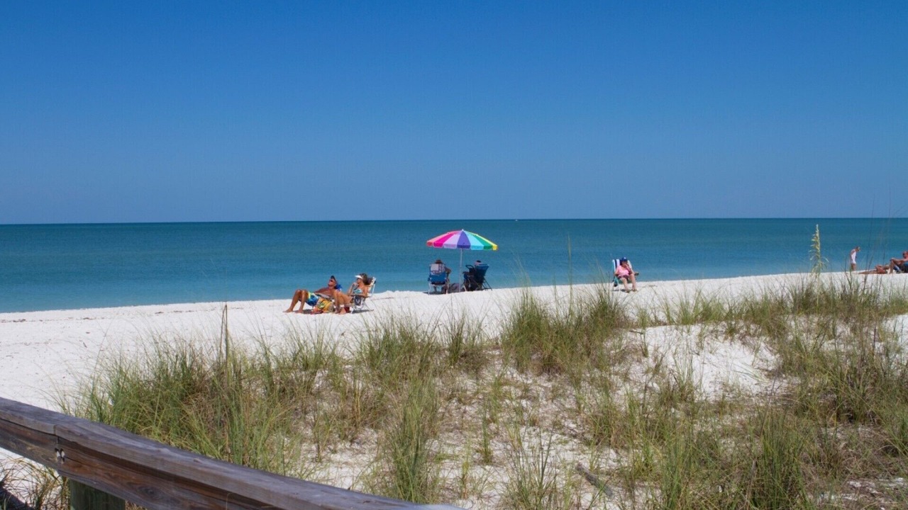 Photo of Others in Coquina Sands
