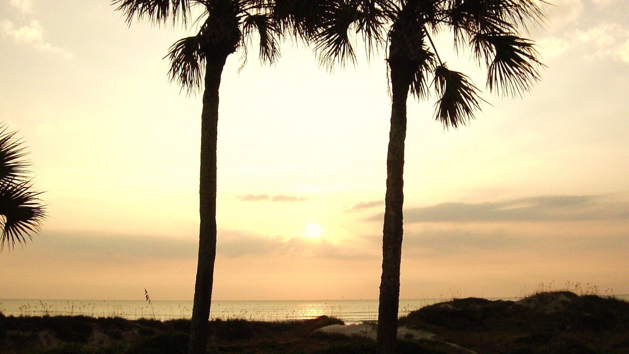 Photo of Others in Butler Beach