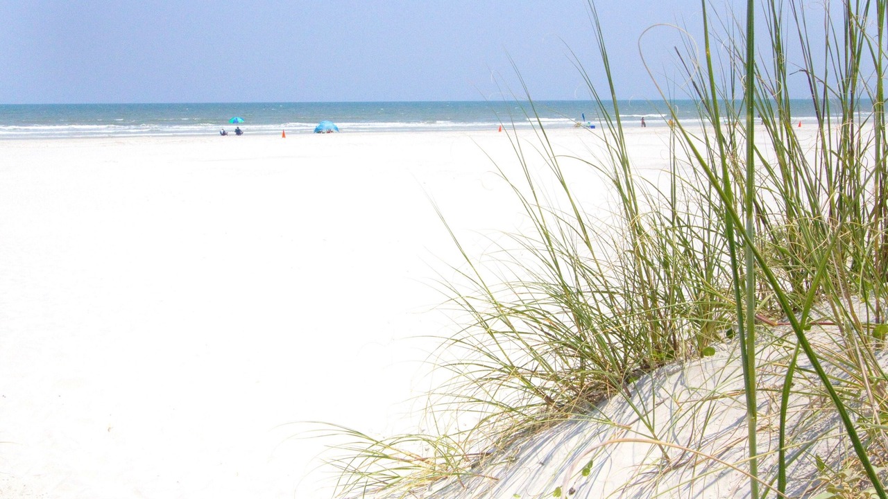 Photo of Others in Butler Beach