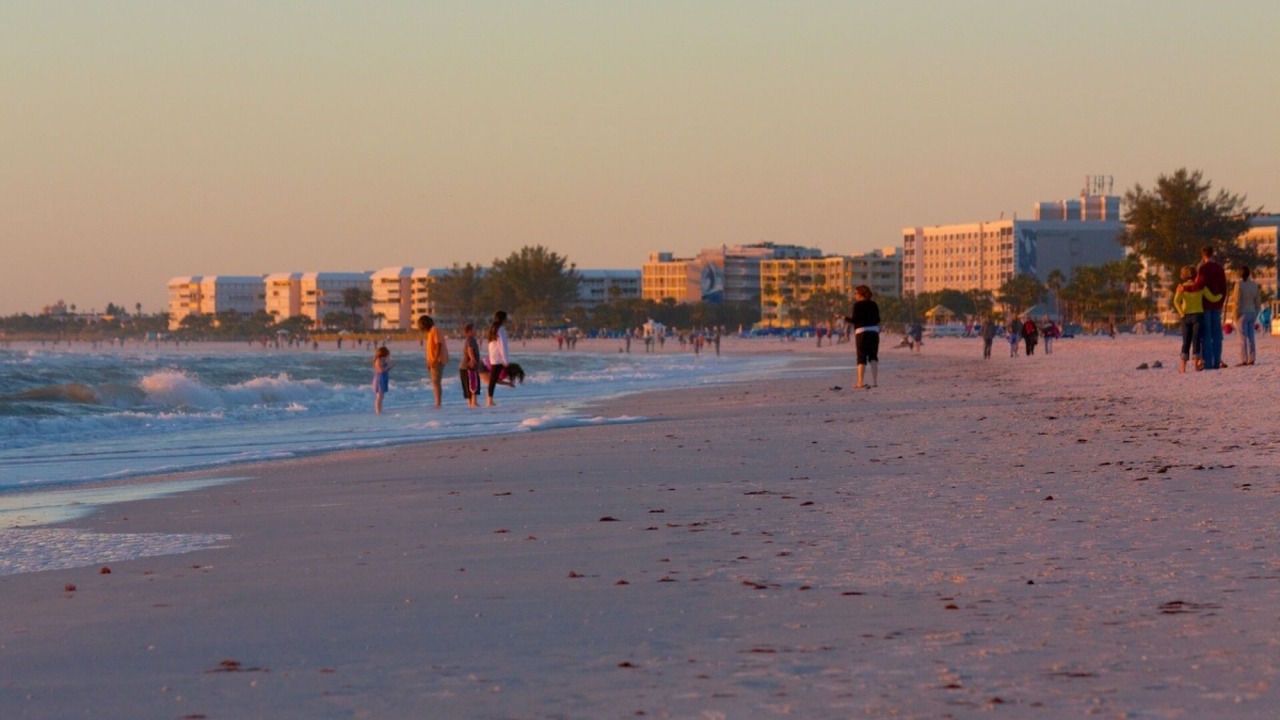 Photo of Others in St. Pete Beach