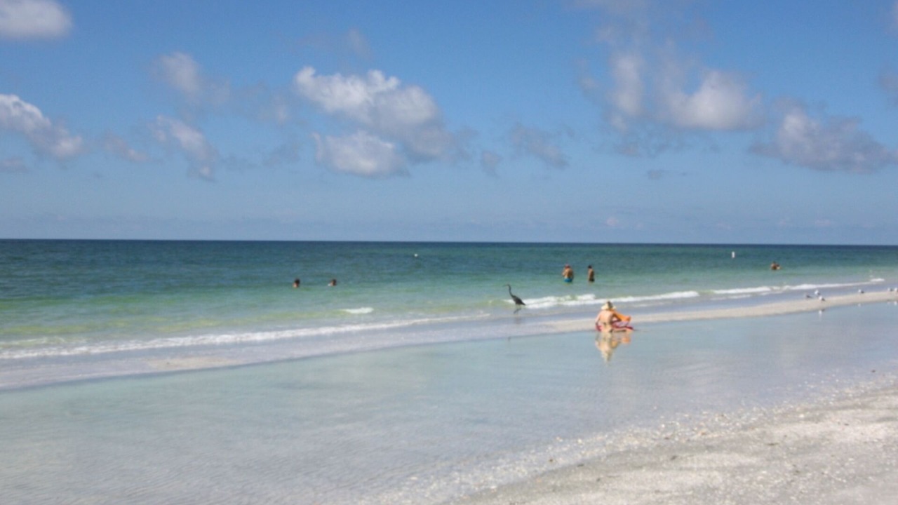 Photo of Others in St. Pete Beach