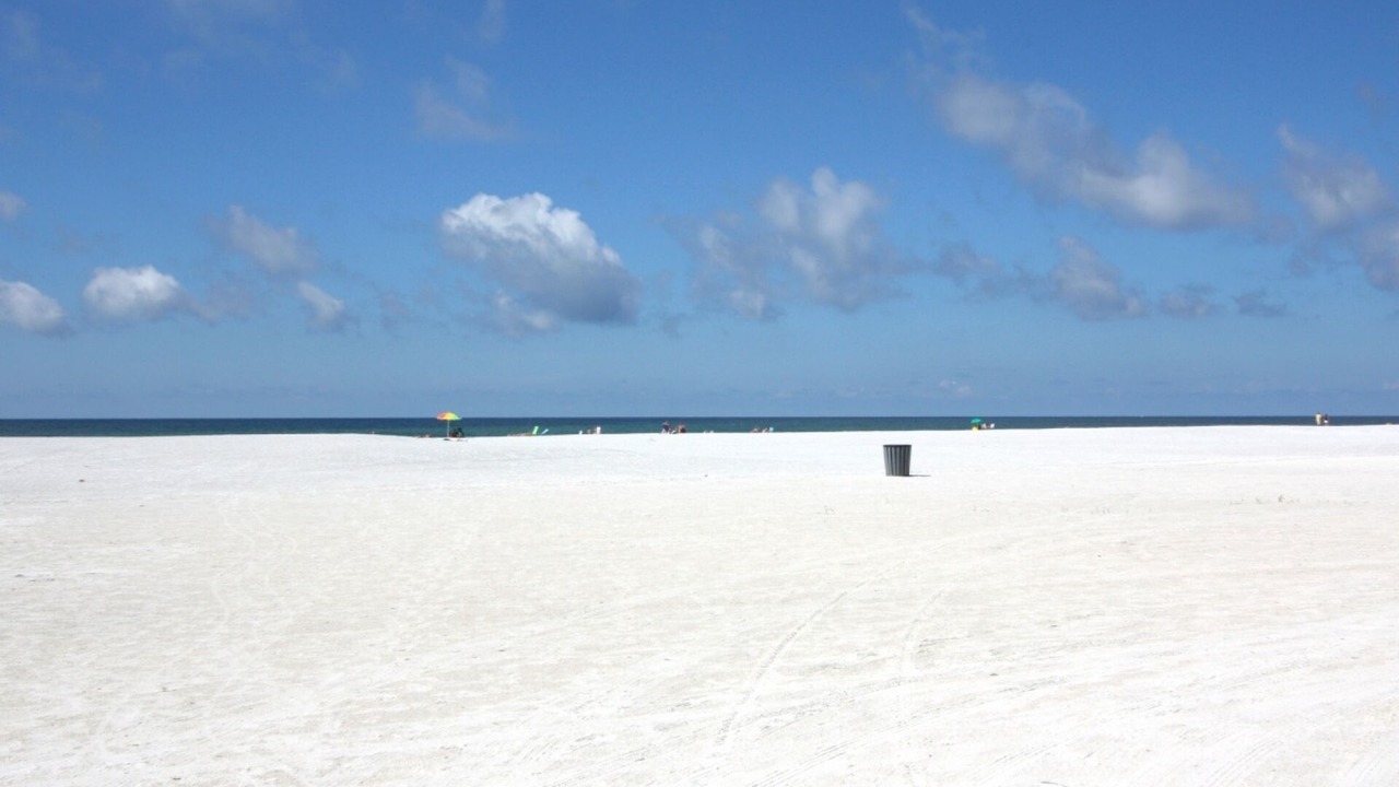 Photo of Others in St. Pete Beach
