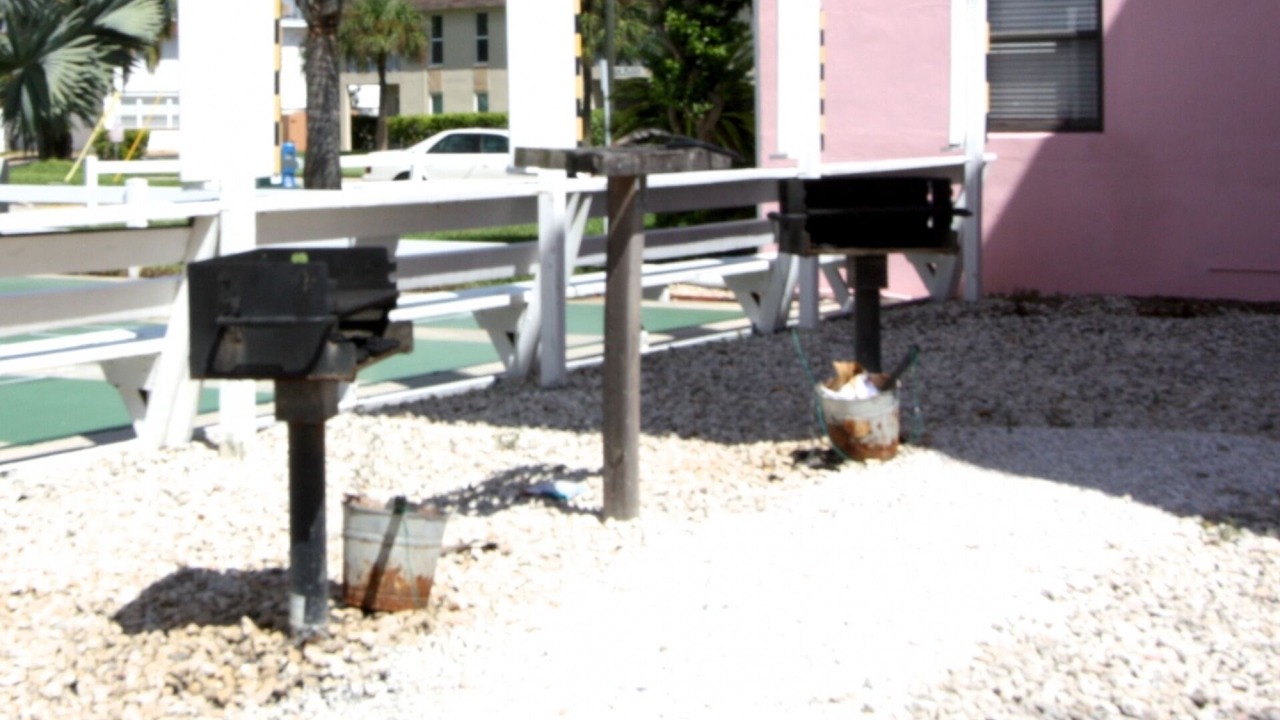 Photo of Others in St. Pete Beach