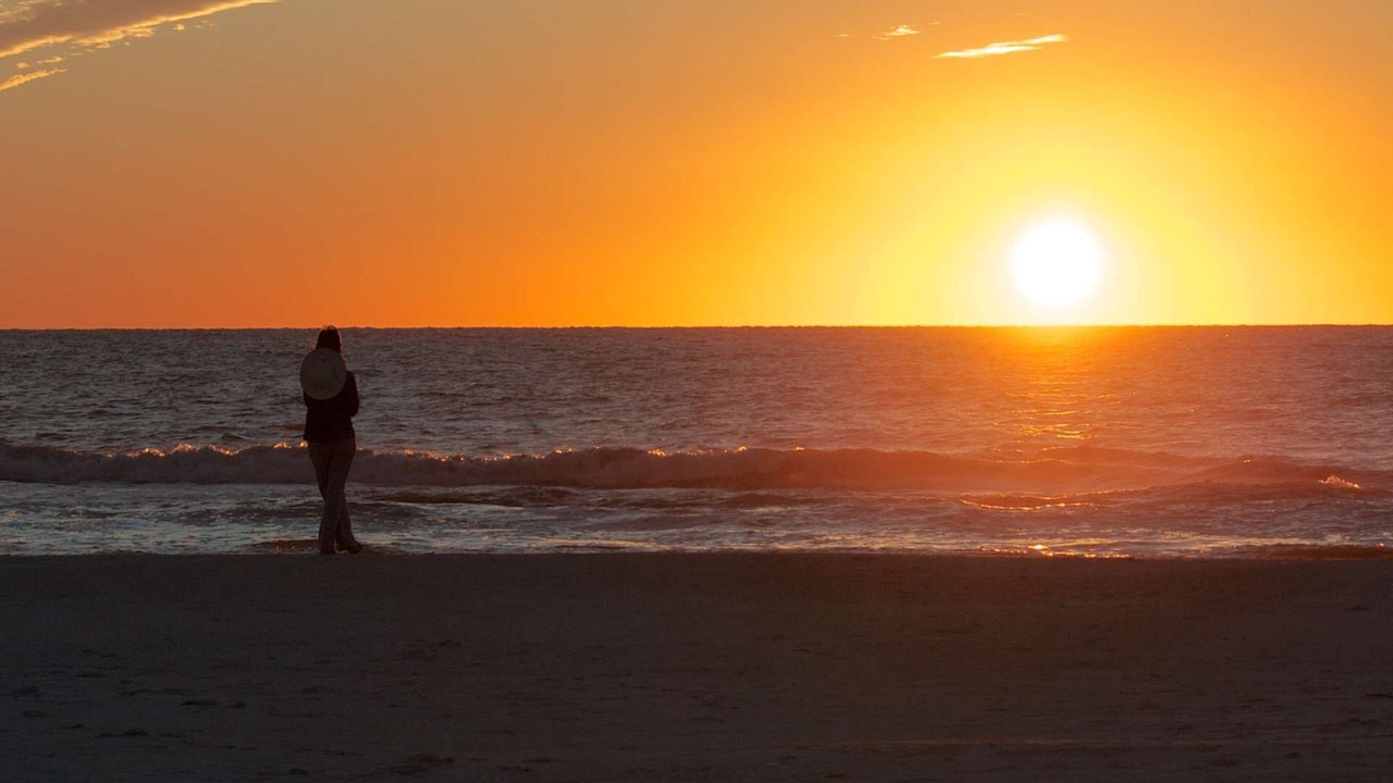 Photo of Others in St. Pete Beach