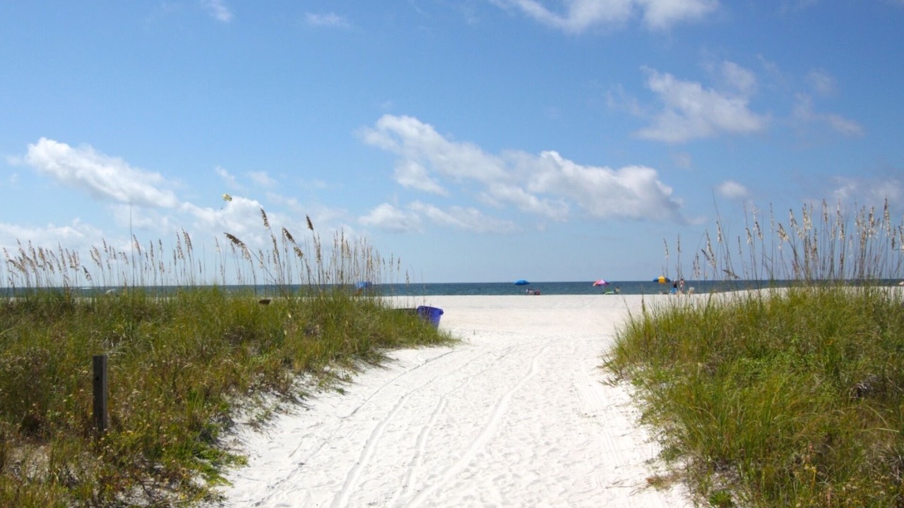 Photo of Others in St. Pete Beach