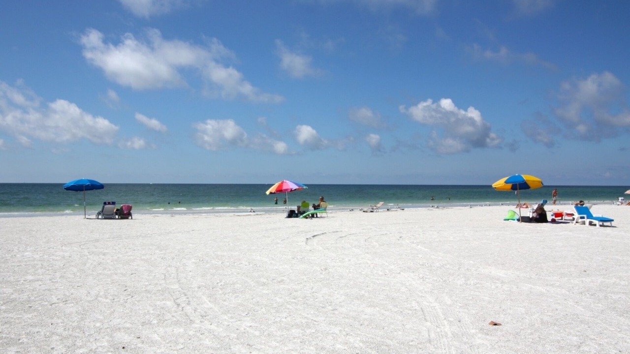 Photo of Others in St. Pete Beach