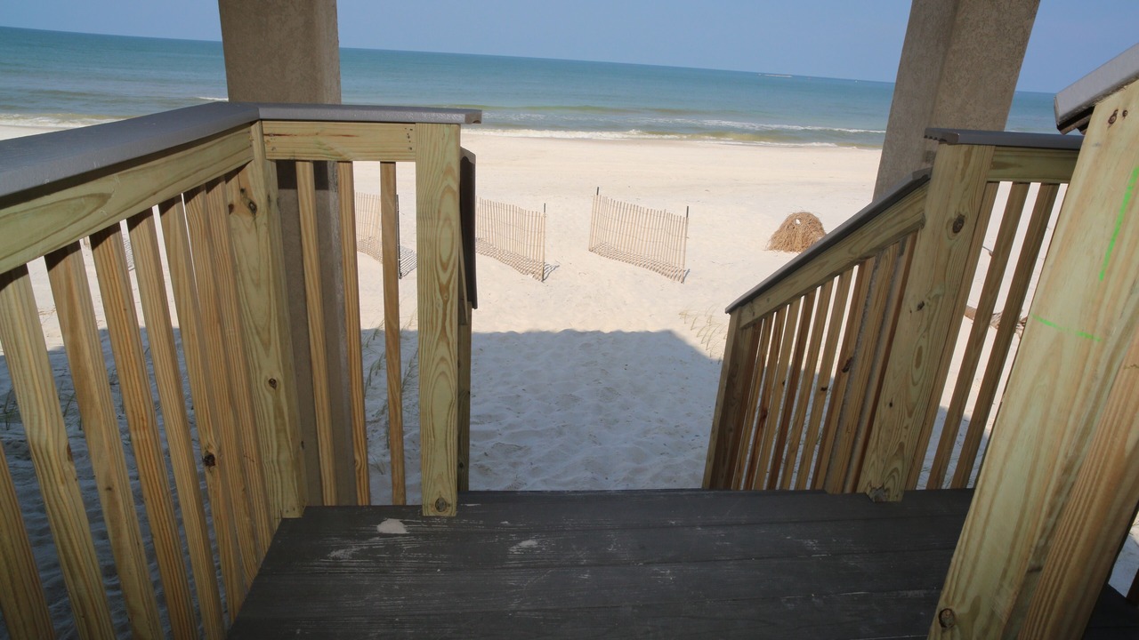 Photo of Outdoor in Cape San Blas
