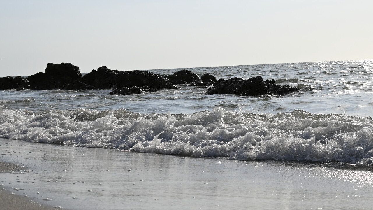 Photo of Others in North Captiva