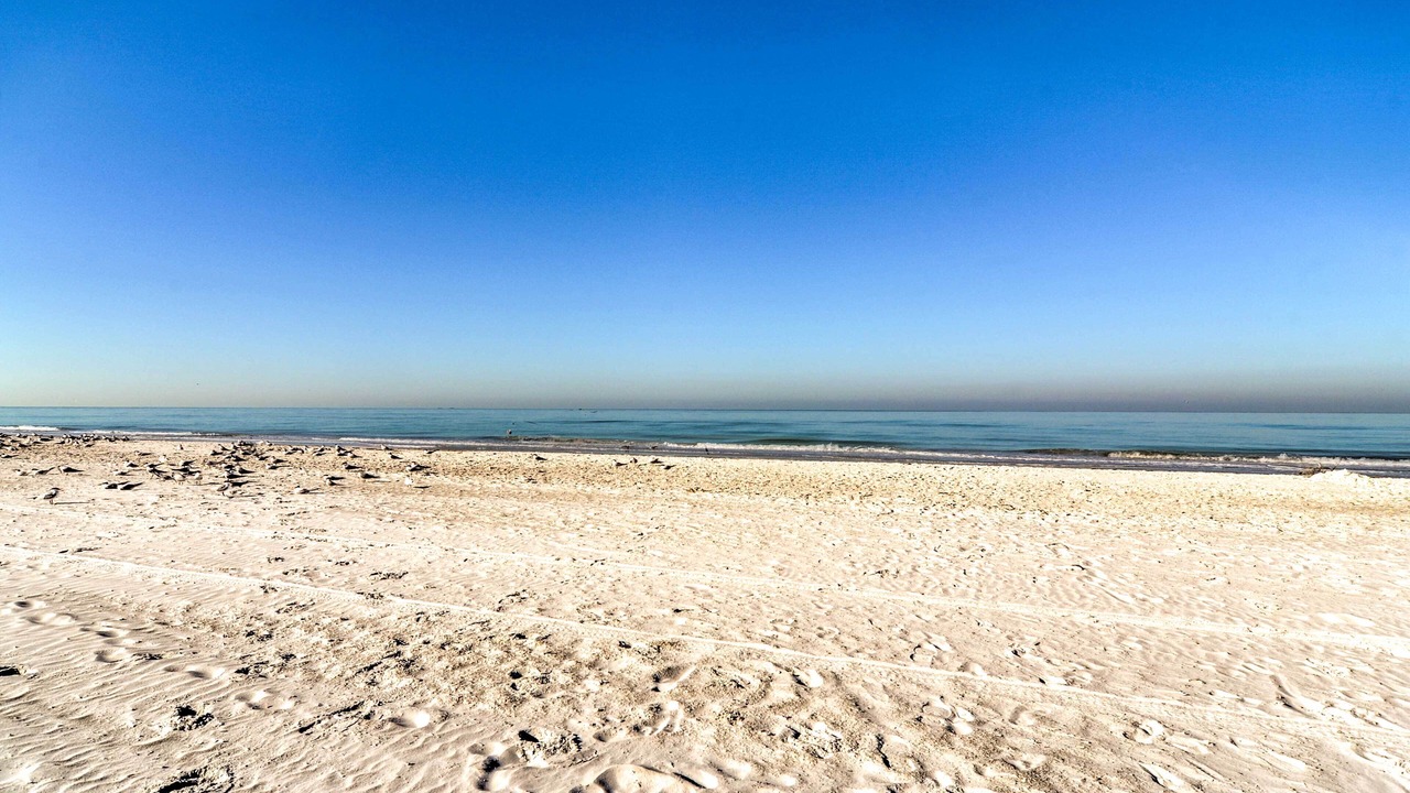 Photo of Others in Redington Shores
