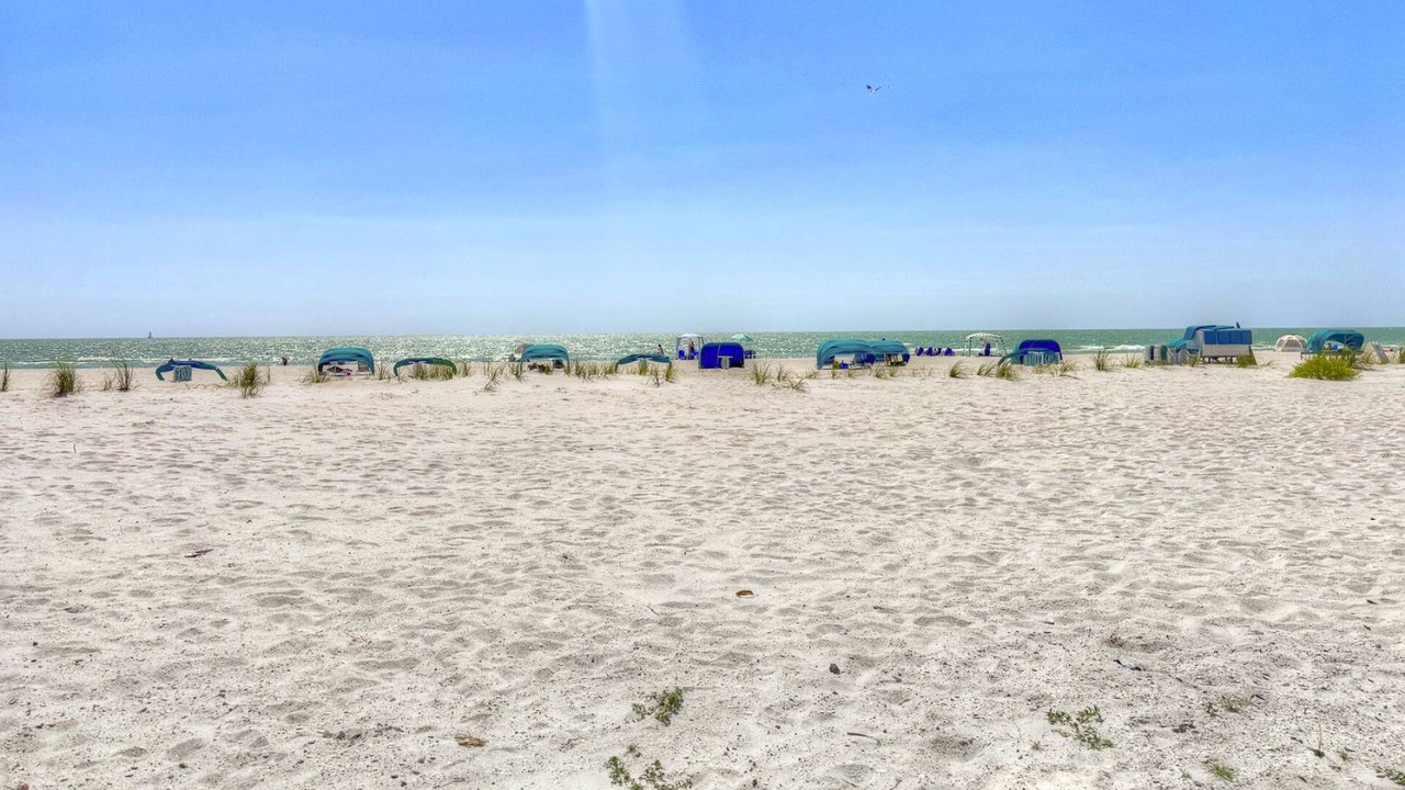 Photo of Others in Treasure Island