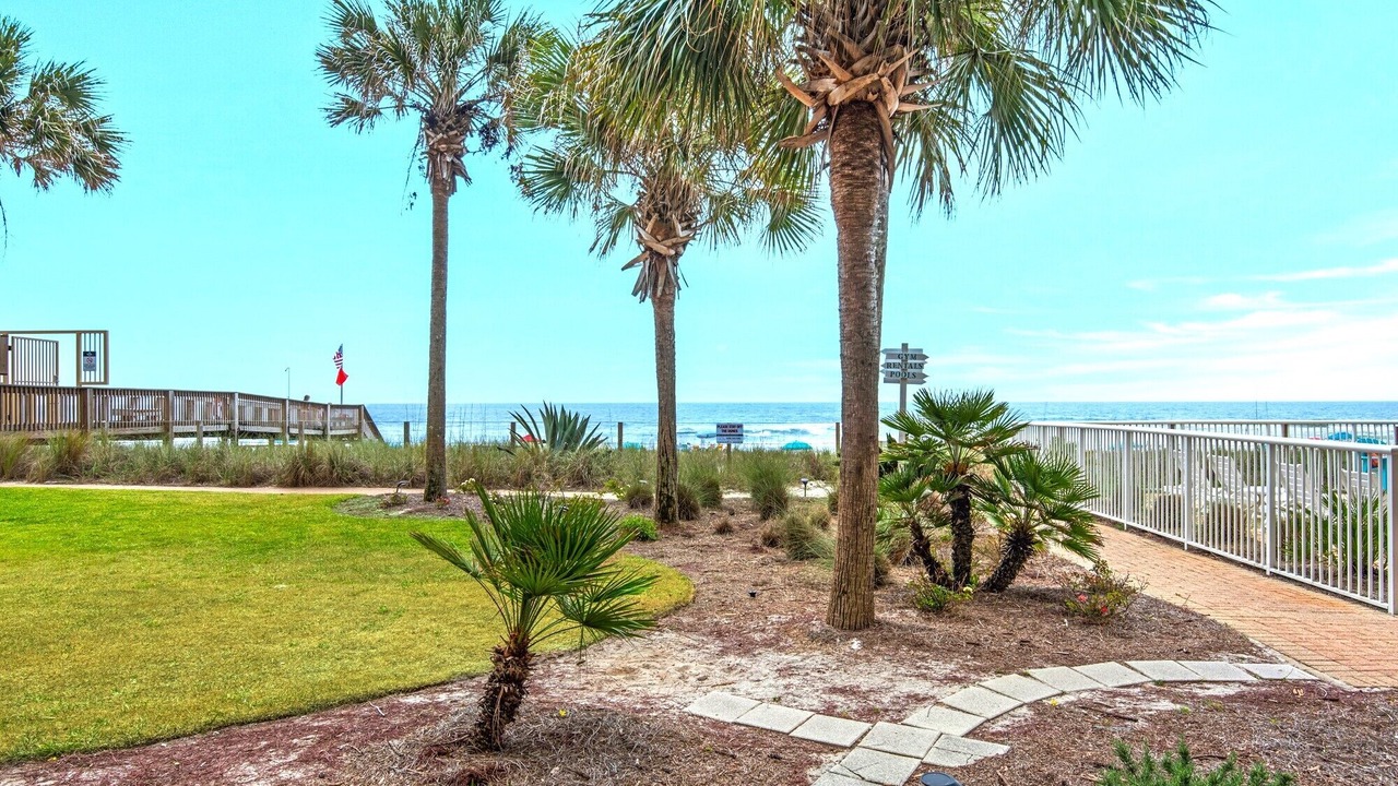 Photo of Outdoor in Ono Island