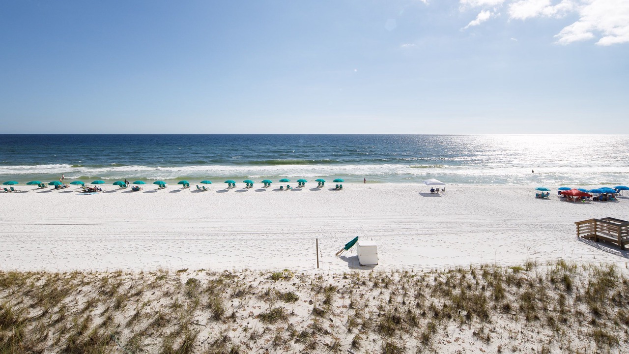 Photo of Others in Fort Walton Beach