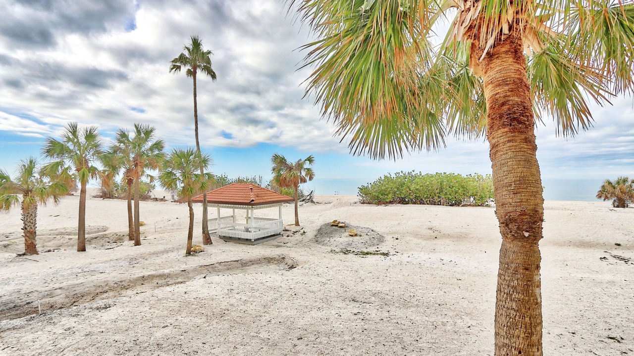Photo of Others in Sunset Beach
