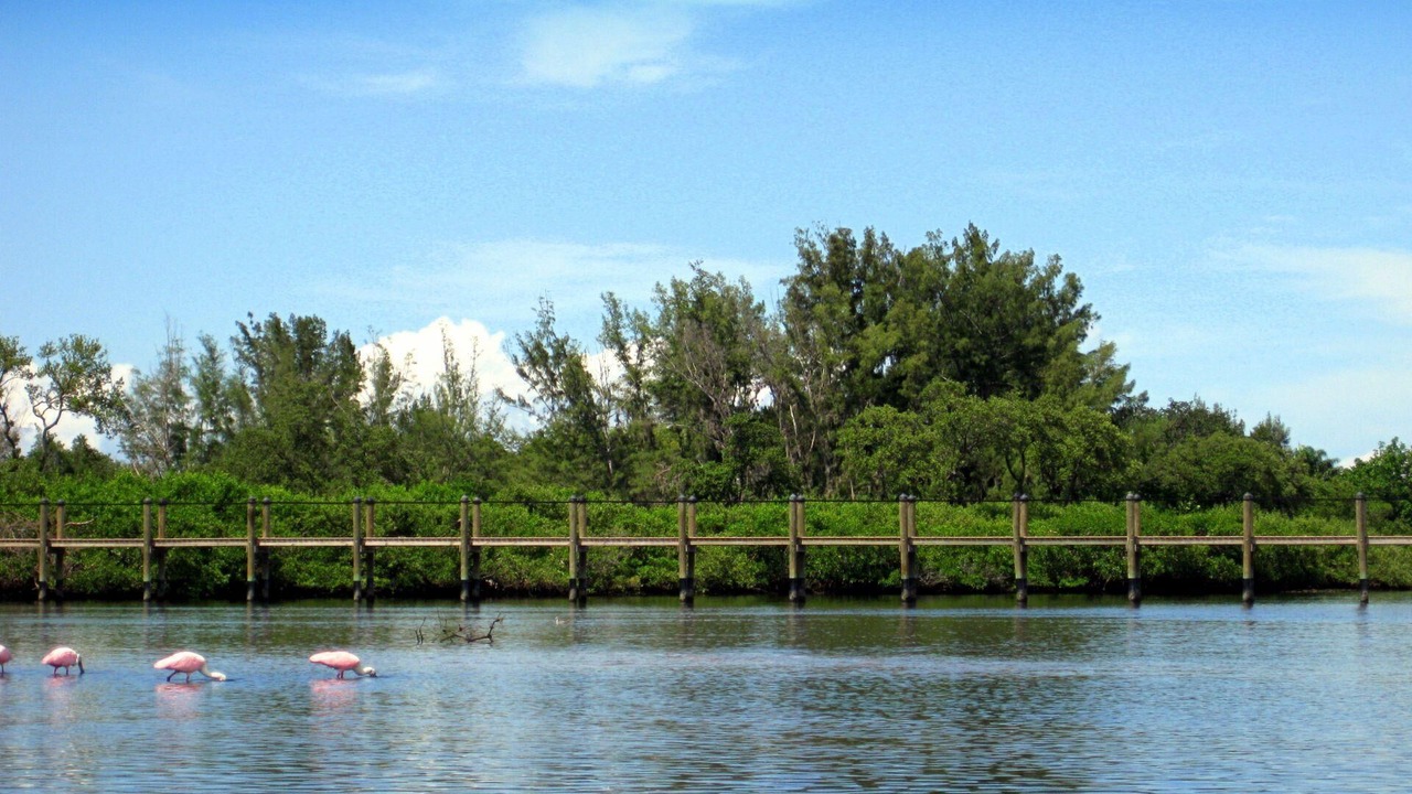 Photo of Outdoor in Trailer Estates